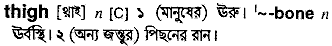 Thigh meaning in bengali