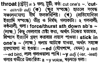 Throat meaning in bengali