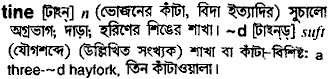 Tine meaning in bengali