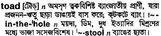 Toad meaning in bengali