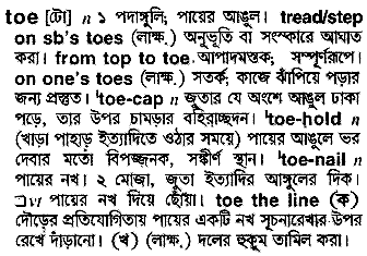 Toe meaning in bengali