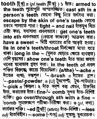 Tooth meaning in bengali