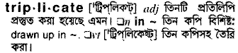 Triplicate meaning in bengali