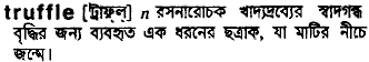 Truffle meaning in bengali