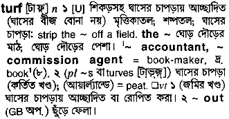 Turf meaning in bengali