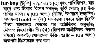 Turkey meaning in bengali