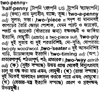 twopenny halfpenny 
 meaning in bengali