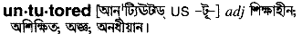 untutored 
 meaning in bengali