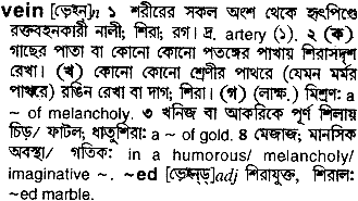 Vein meaning in bengali