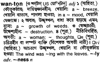 Wanton meaning in bengali