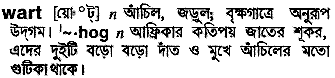 Wart meaning in bengali