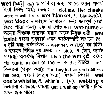 Wet meaning in bengali