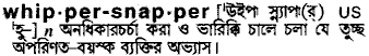 Whippersnapper meaning in bengali