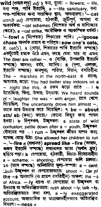 Wild meaning in bengali