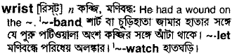 Wrist meaning in bengali