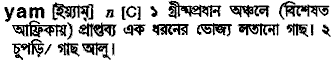 Yam meaning in bengali