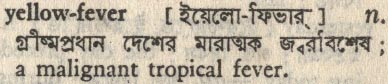 yellow fever 
 meaning in bengali