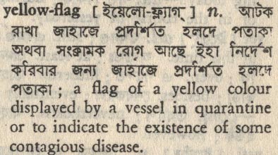 yellow flag 
 meaning in bengali