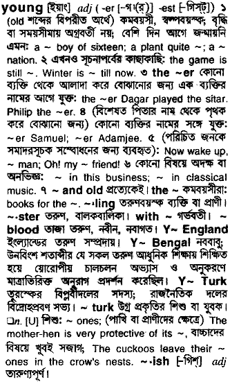 Young meaning in bengali